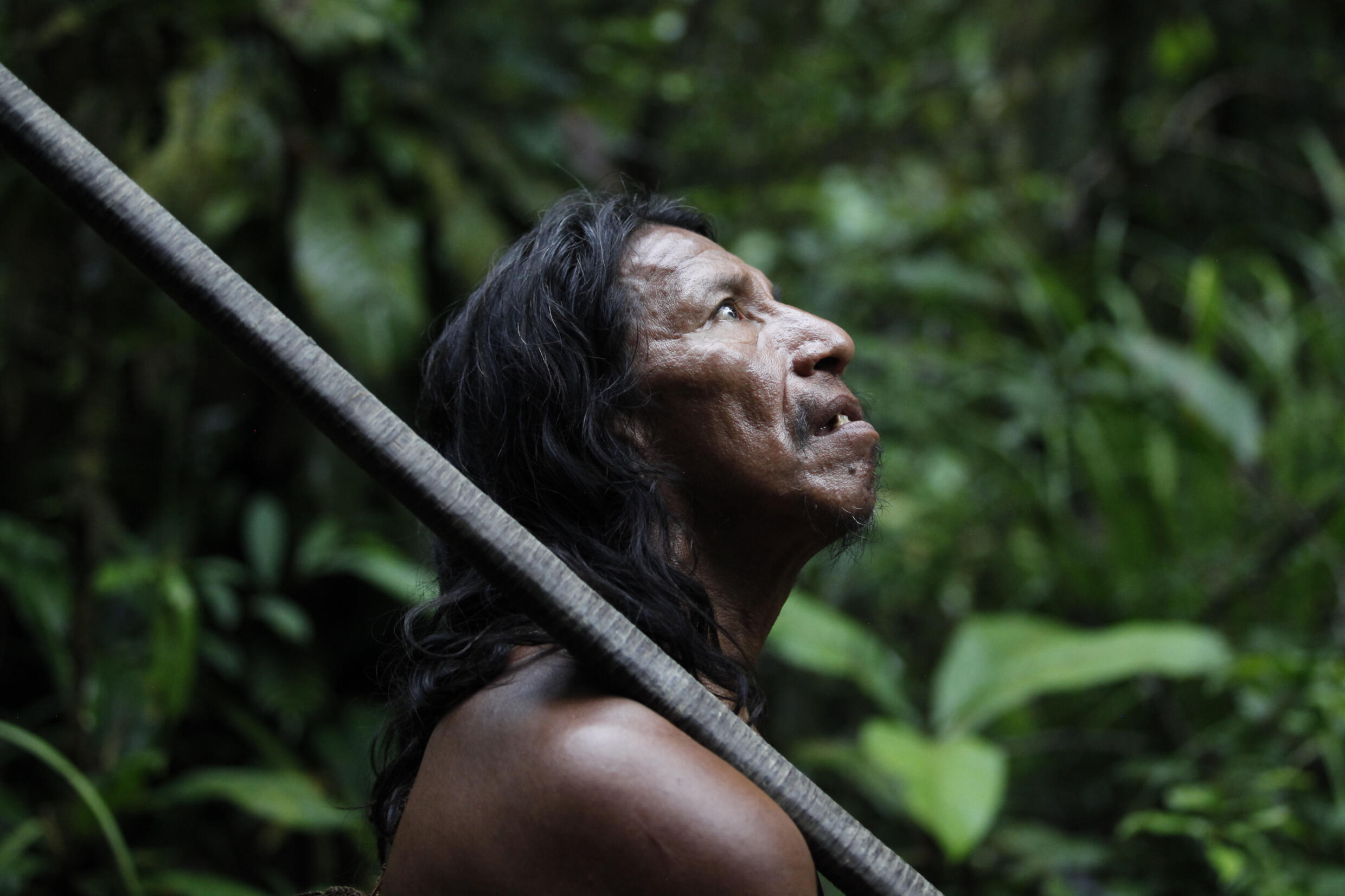 Ecuadorans are also voting on a referendum on whether to halt oil drilling in an Amazon reserve home to three uncontacted tribes