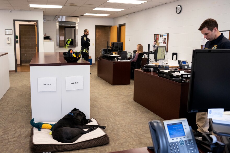 Over at Waterford Police Station, K-9 Hodges — another Puppies Behind Bars dog — takes a nap after a hard day’s work out in the community with his partner Officer Eric Fredericks. Hodges has been at Waterford for one year and already made a big impact. “These dogs really build bridges with the community,” Fredericks said. While in the past, people might not have felt comfortable approaching him, “now everyone approaches me because I have a cute, lovable dog.”