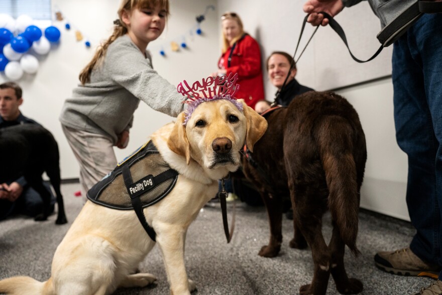 K-9 Chase is all dressed up for Hodges’ birthday party. Chase is also a Puppies Behind Dog and works with Officer Heather McClelland in the Groton Police Department. McClelland was the first officer in Connecticut to receive a dog from the Puppies Behind Dog program