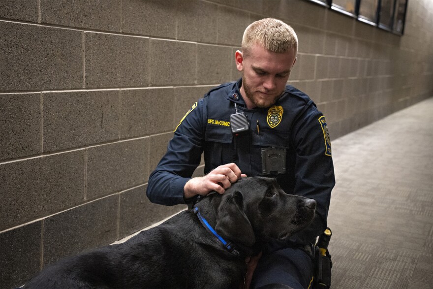 K-9 Hodges practices his “tell me a story” command with Officer Kyle McComic at the Waterford Police Station. As part of their training, dogs from the Puppies Behind Bars program learn specialized commands that help them support both citizens and officers in times of crisis. “Tell me a story” is used to help people talk about a traumatic event: when it’s too hard to tell an officer what happened, a victim can focus on the dog and tell them instead, drawing strength from their calming, loving presence.