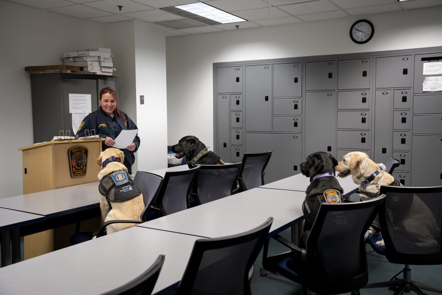 Sgt. Cynthia Torres leads an unusual morning roll call on April 20, 2023. Six months after the attack that killed two members of the Bristol police force, some of the dogs who originally responded to the crisis have returned to check in with the Bristol Police Department.