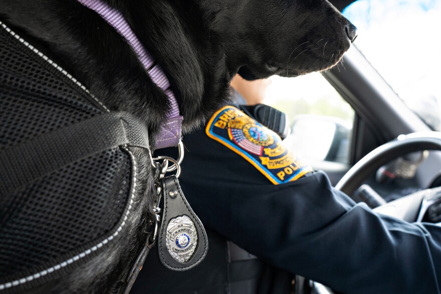 Officer Alysha Pirog and K-9 Frankie set off on patrol around Bristol, responding to calls where Frankie might be able to help residents in distress.