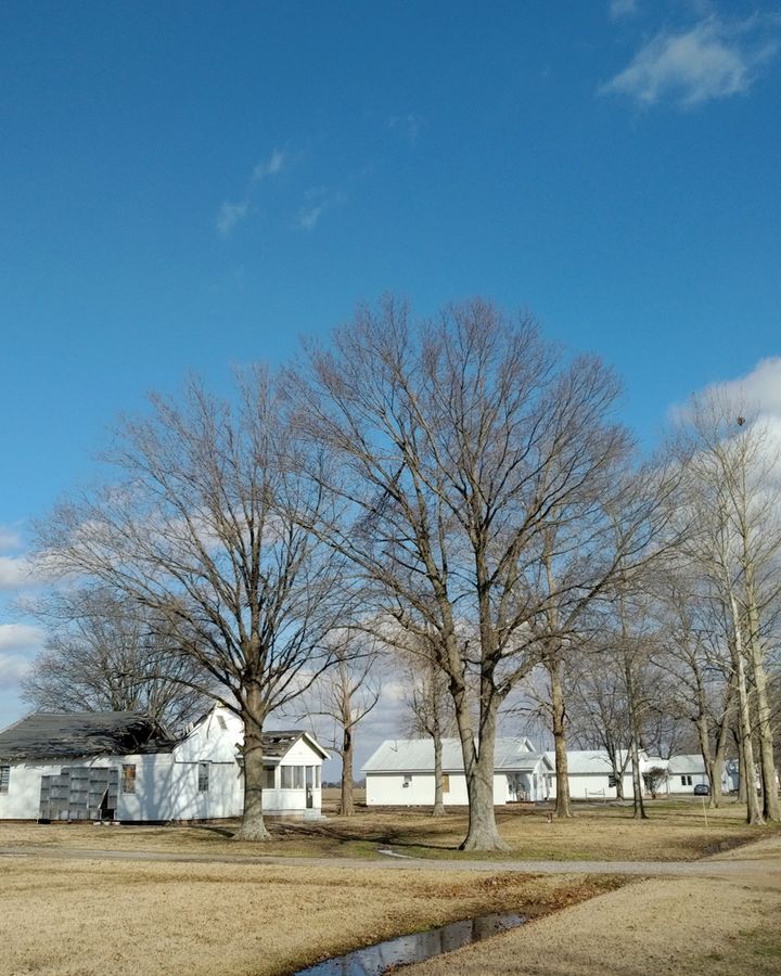 Parchman Farm, aka Mississippi Penitentiary, has become a focal point for discussion about the state of the US penal system (Credit: Courtesy of Glitterbeat Records)