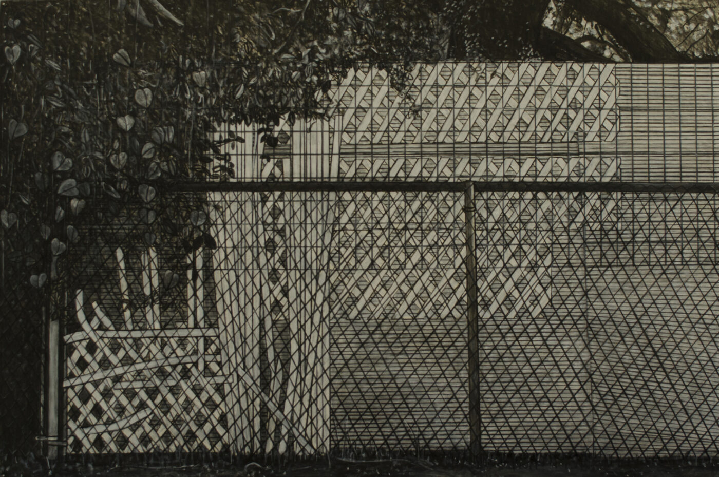26 BIRCH Opus 2 Neighbors Fence