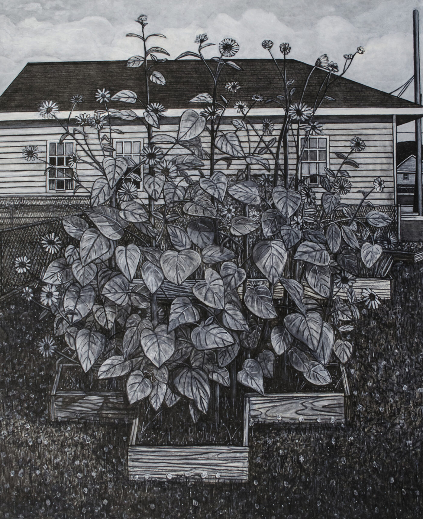 46 BIRCH Sunflowers For Ukraine