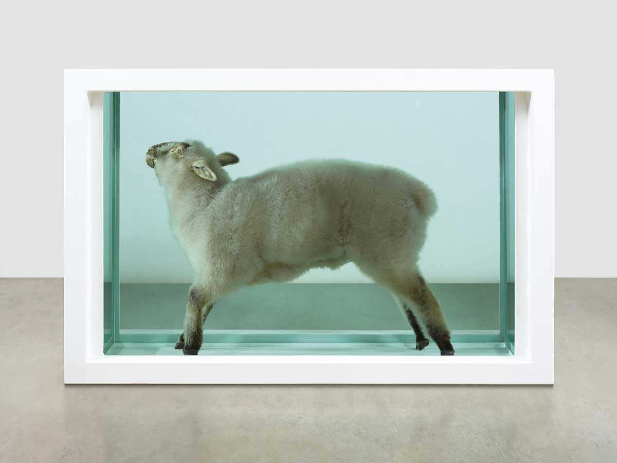 art vandalism hirst flock installation