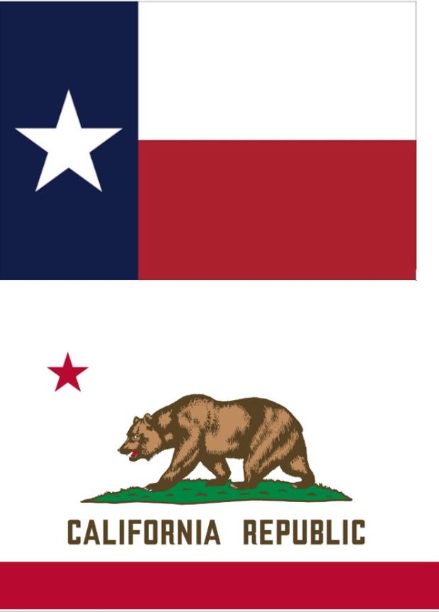 State flags of Texas and California