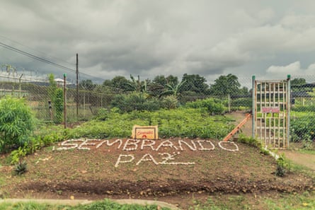 A tree nursery with ‘Sembrando Paz’ written with white stones on the ground 