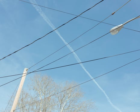 A view of a blue sky with a straight white line of airplane exhaust bisecting about six black overhead lines, with the top of a tree and the top of a streetlight visible.