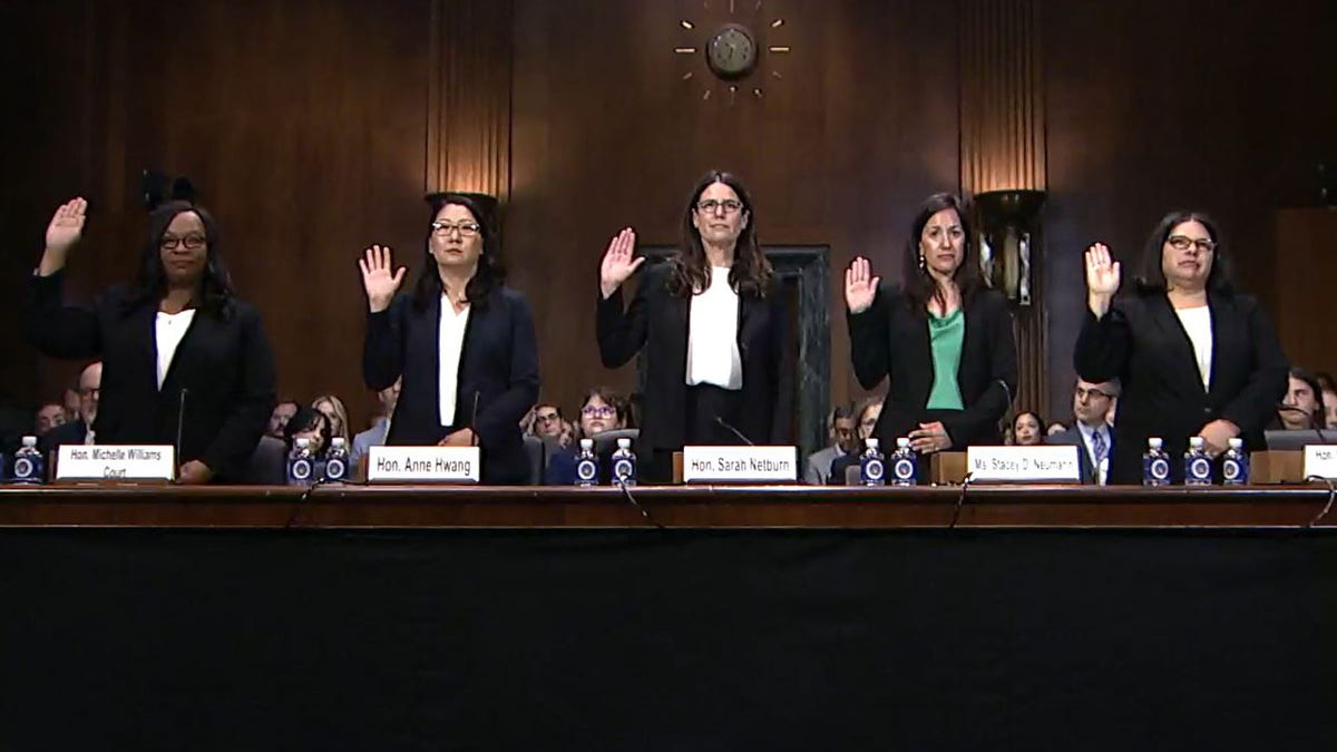 Judge Anne Hwang, Judge Sarah Netburn, Judge Michelle Court, Stacey Neumann, Judge Cynthia Valenzuela