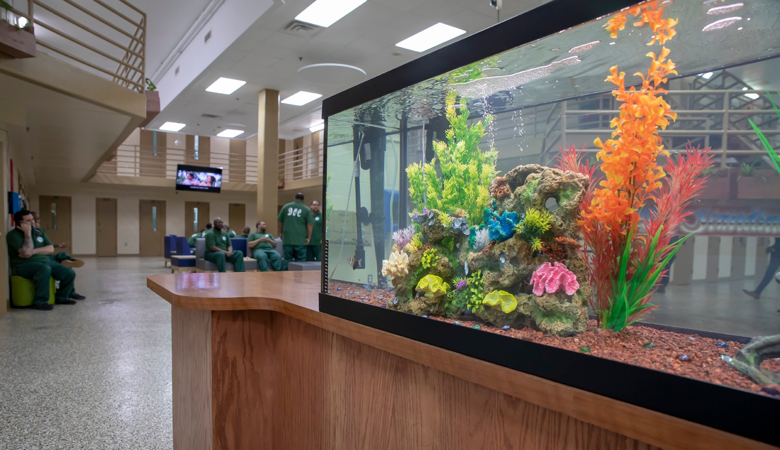 The unit’s fish tank, which the governor says has a calming effect on inmates