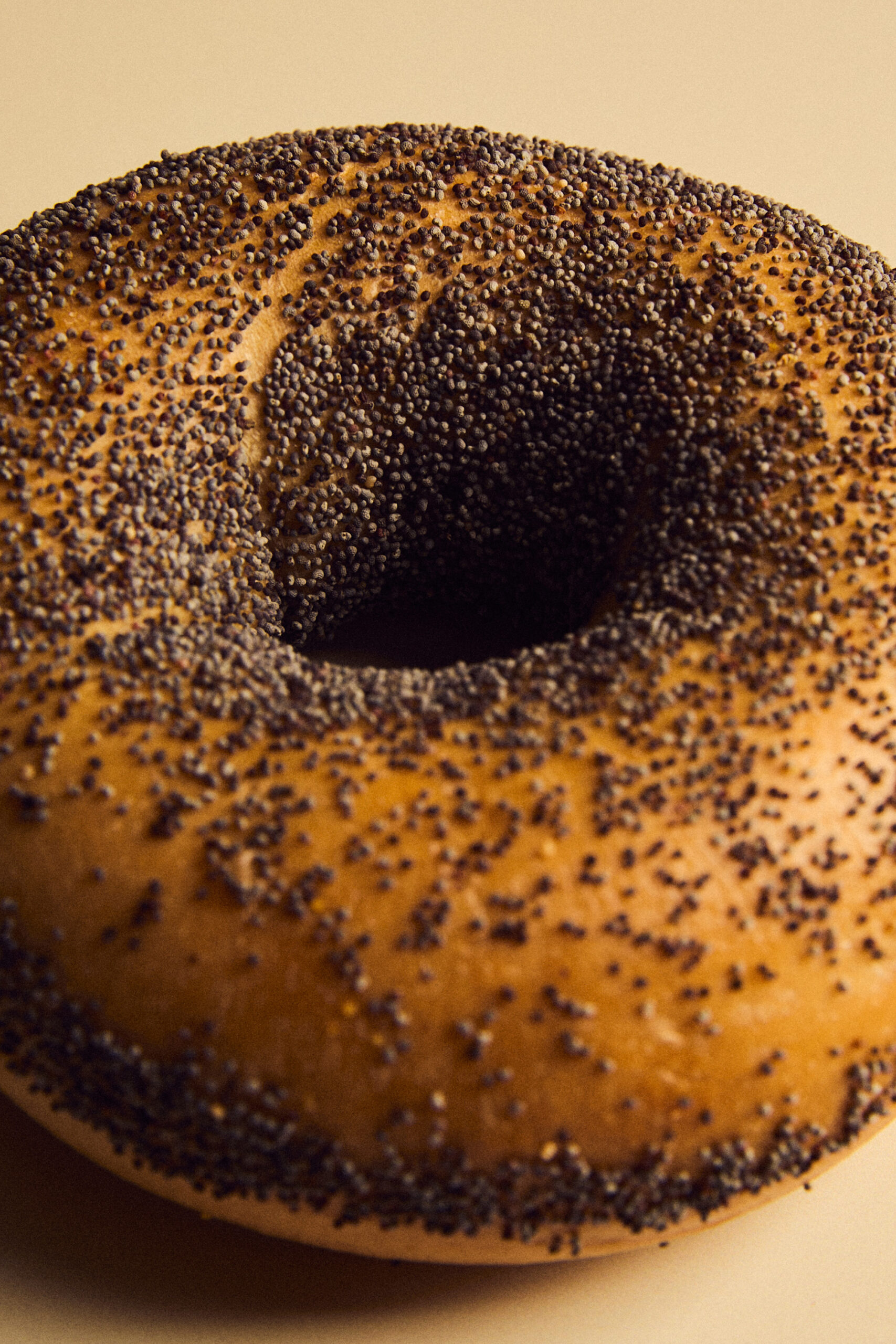 A close-up picture of a bagel covered in poppy seeds.