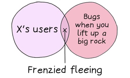 Edith Pritchett’s week in Venn diagram shows on circle with the word’s ‘X’s users’ overlapping another circle with the words ‘Bugs when you lift a big rock’, with a line pointing to a small x in the intersection referring to ‘Frenzied fleeing’