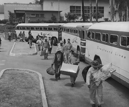 Mexicanos indocumentados en Los Ángeles, 1954