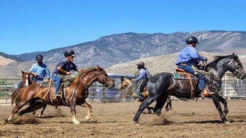 NNCC inmate wild horse training