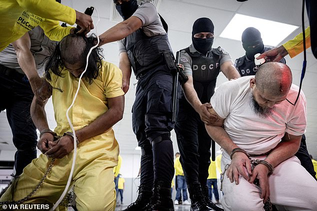 Salvadoran police officers cut the hair of alleged members of the Venezuelan gang Tren de Aragua