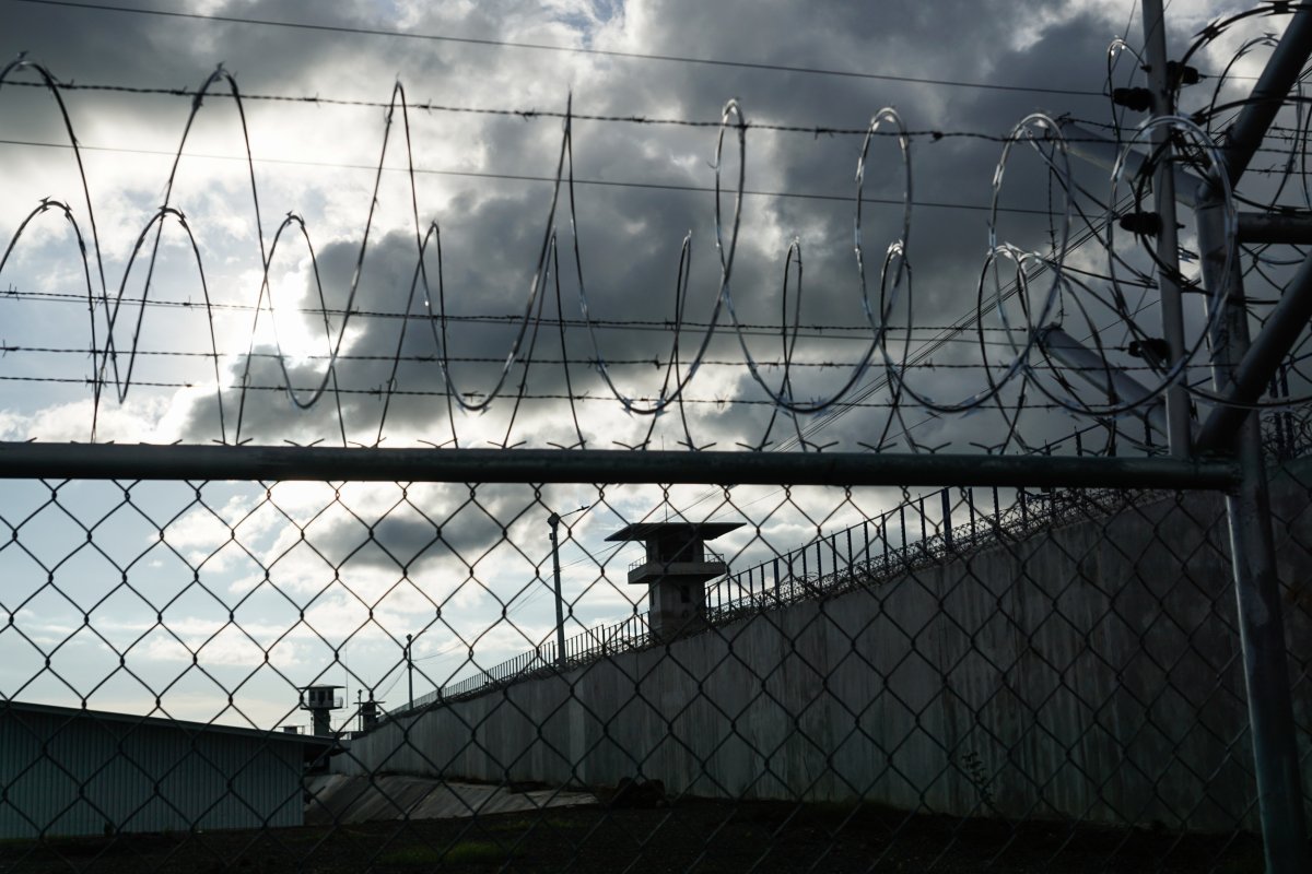 View of the watchtowers and electric barriers 