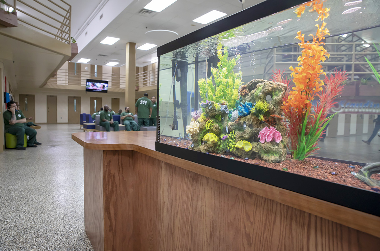 close-up of a fish tank at the Little Scandinavia unit at SCI Chester