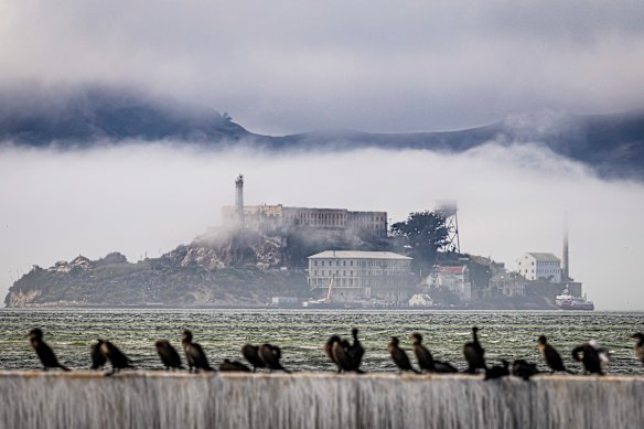 Cormorants perch on a breakwater as clouds and fog shroud Alcatraz Island .