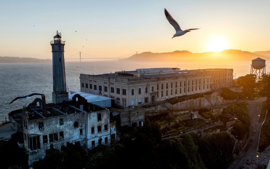 A bird flies this month above Alcatraz Island in the San Francisco Bay in California.