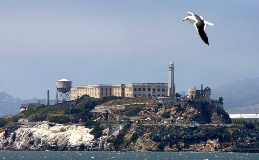 A seagull flies over Alcatraz Federal Penitentiary on Alcatraz Island July 2, 2003 in the San Francisco Bay, California.